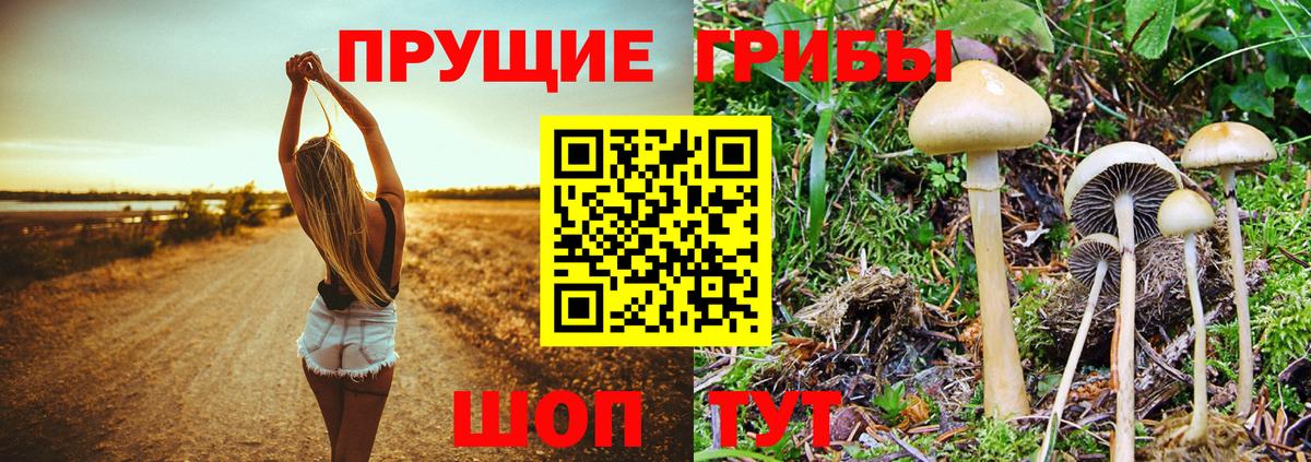 Псилоцибиновые грибы Psilocybe  Галлюциногенные грибы Psilocybine cubensis  Вход с VPN  Хасавюрт 