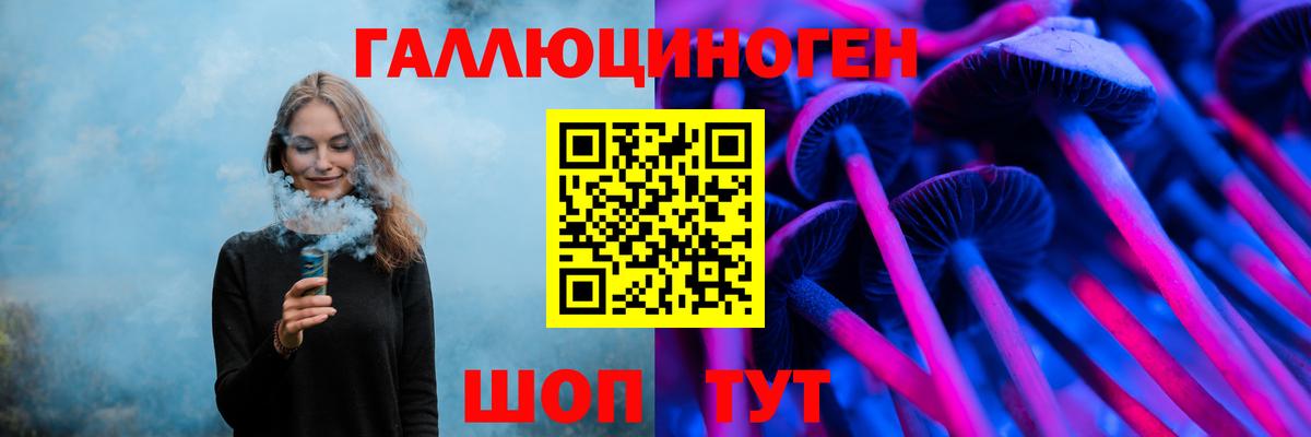 Псилоцибиновые грибы Psilocybine cubensis Хасавюрт